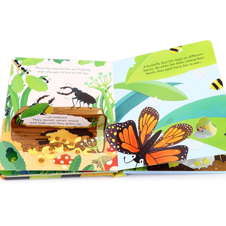 Usborne Peep Inside Bug Homes Insect Science Popularization Natural ...