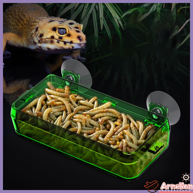 Arnelian Reptile Transparent Feeder Anti-escape Food Bowl Worm Live ...