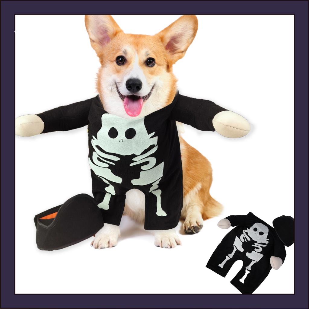 [WX] Pet Transformation Outfit Precision Wiring Pet Suit Fun and