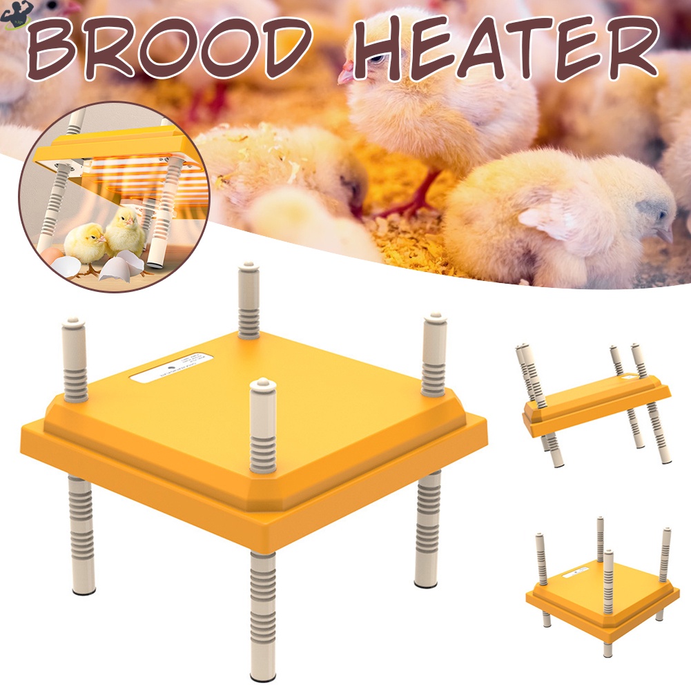 Chick Brooder Heating Plate Constants Temperature Brooding Heaters for Chicks Ducklings Shopee