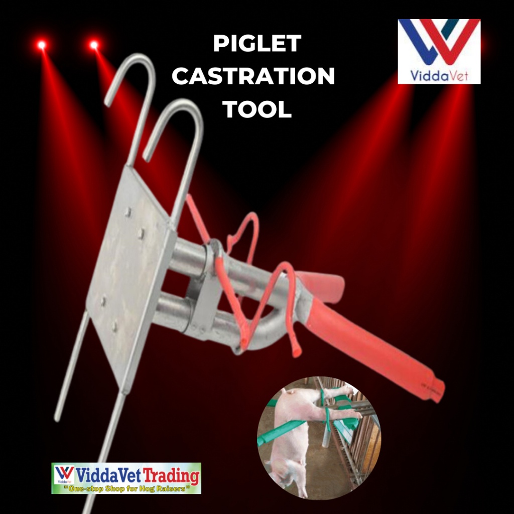 Viddavet Hanging Type Castration Tool for piglets Piglet Castration