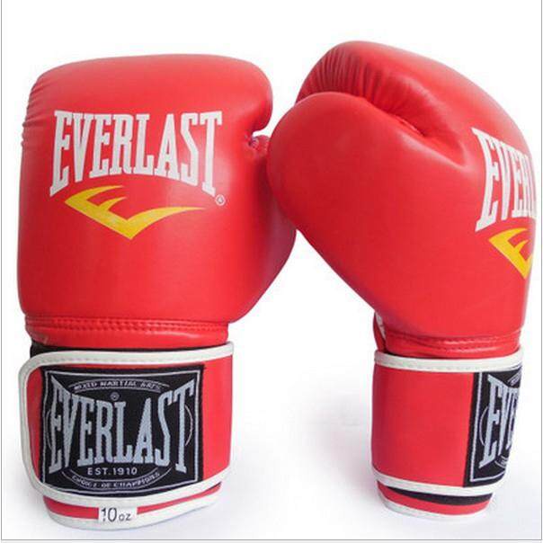 Everlast 10oz gloves on sale