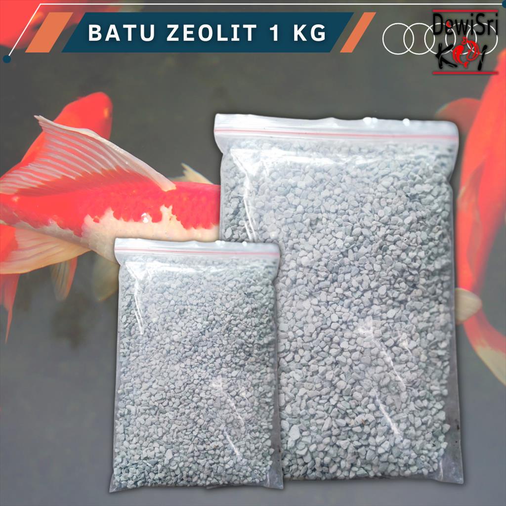 Ziolit Zeolite Zeolite Stone 1kg Aquascape aquarium Fish Pond Filter