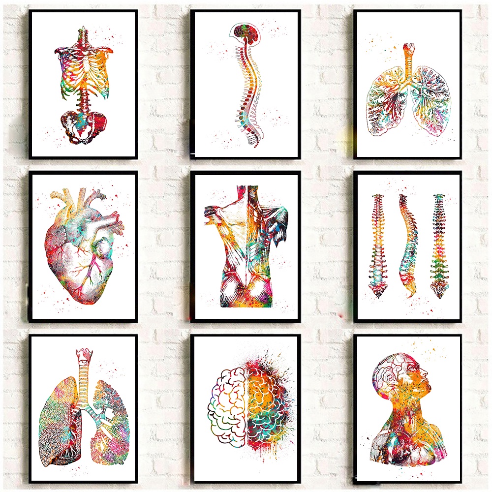 Home Human Anatomy Muscles System Wall Art Kraft Paper Painting Posters ...