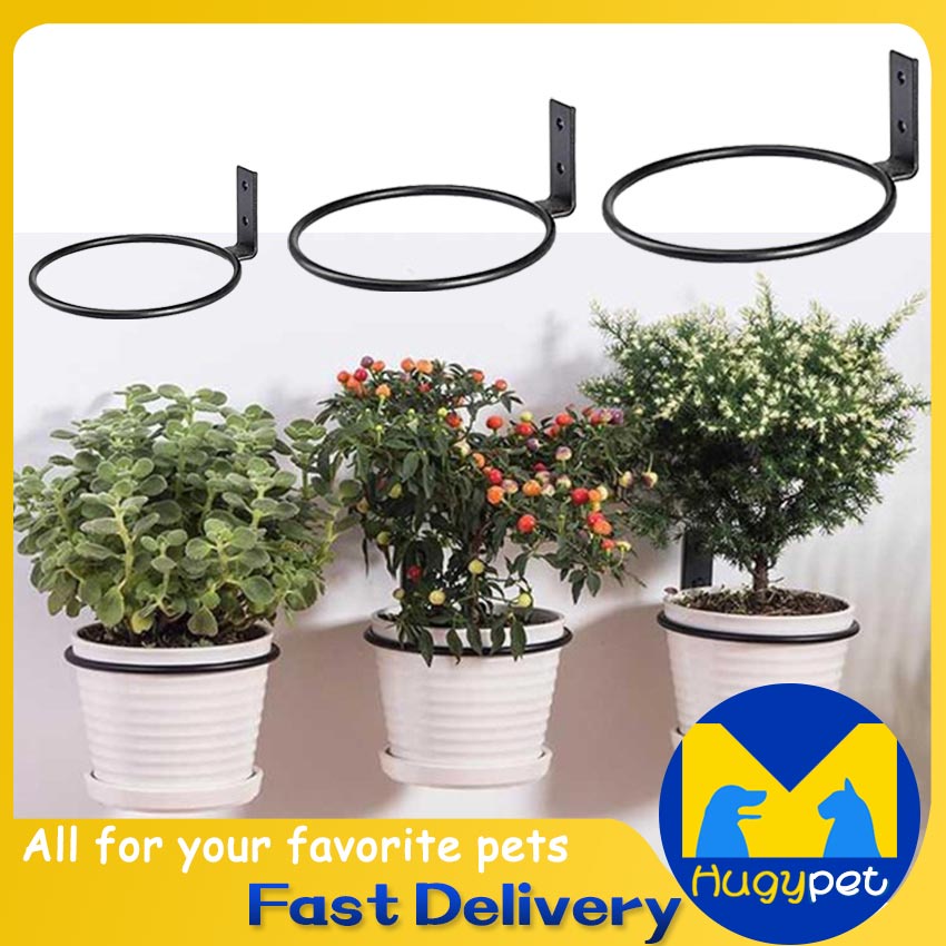 Plant Holder Ring Plant Flower Pot Holder Ring Metal Wall Mounted Flowers Hanger Flowers