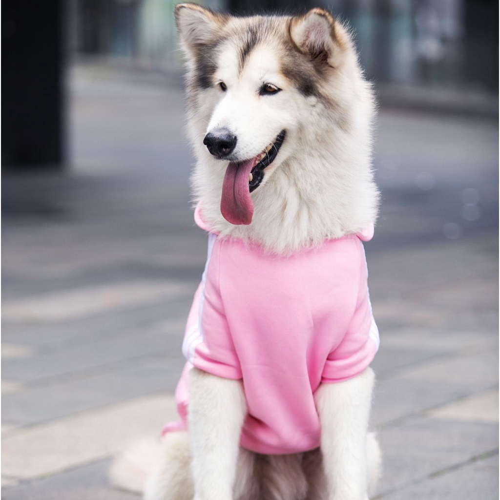 Adidas Dog Clothes Clothe Big Dogs Dog Clothe for Large Dogs Female and