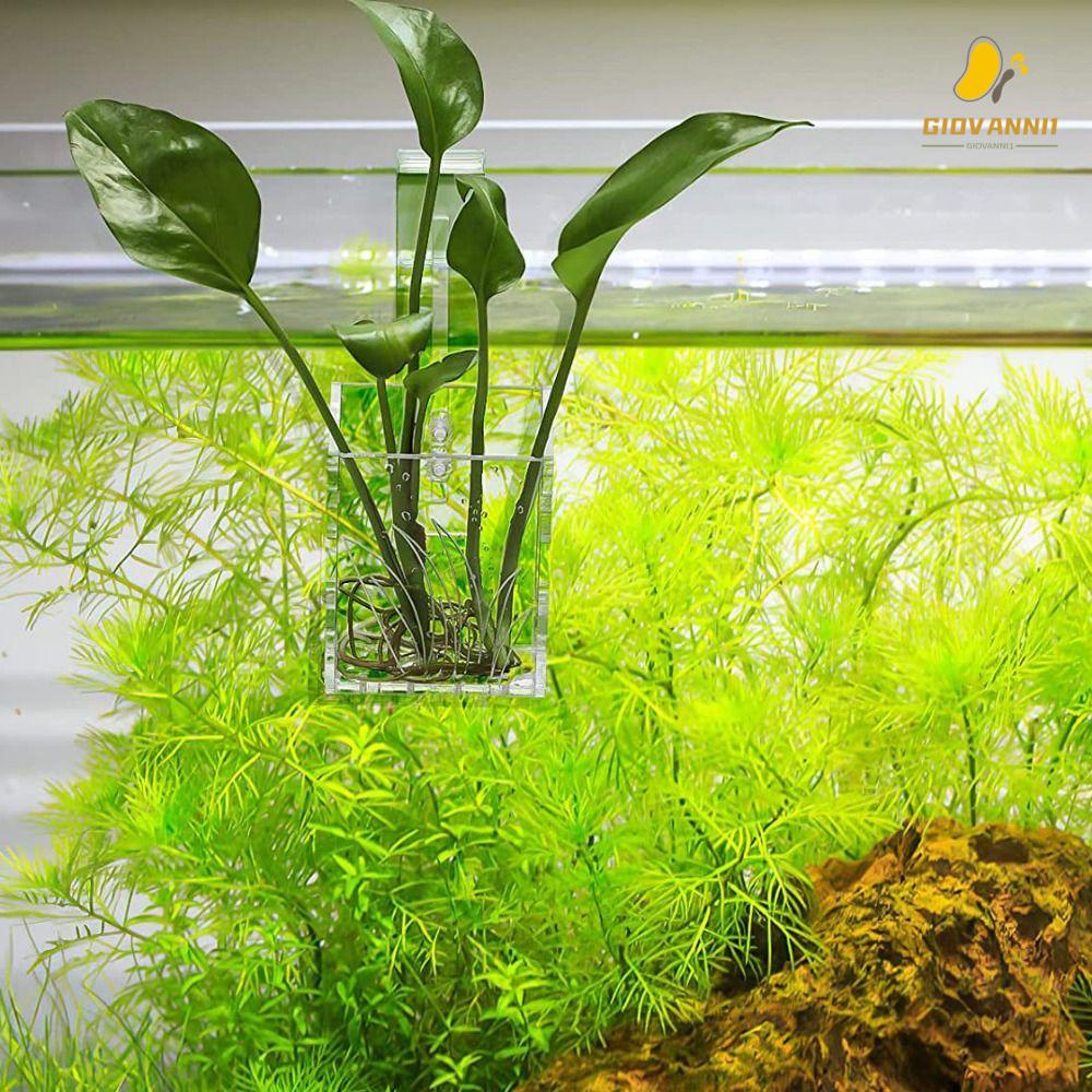 fertilizer for jade plants Gardenera Professional Jade Plant Superfood Spray Mist for Home Gardening | Micro-Fungi Enriched Fertilizer Mist for Healthy Leaves & Growth main image 1