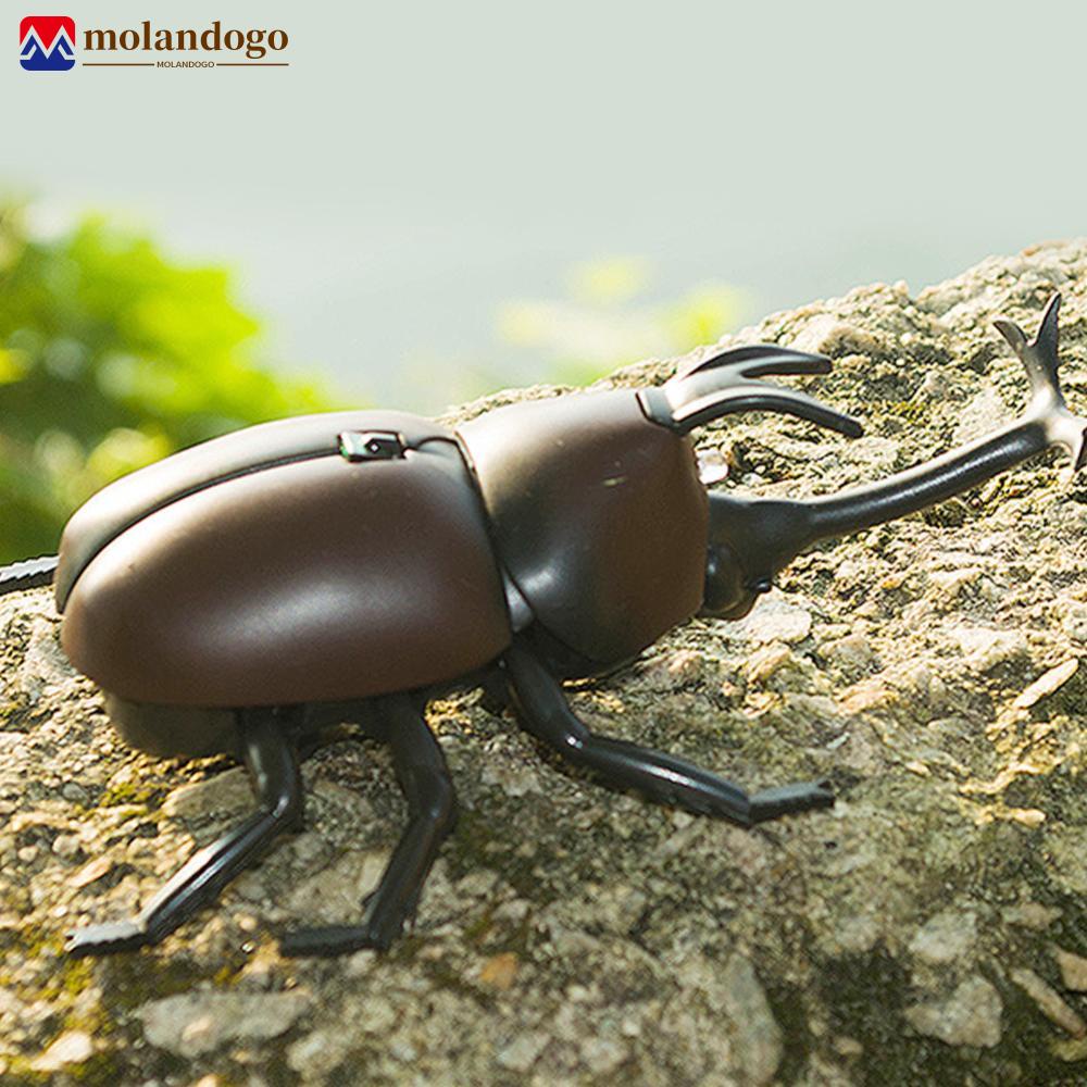 MOLANDOGO Infrared Lifelike Remote Control Beetle Toys Realistic Rake ...