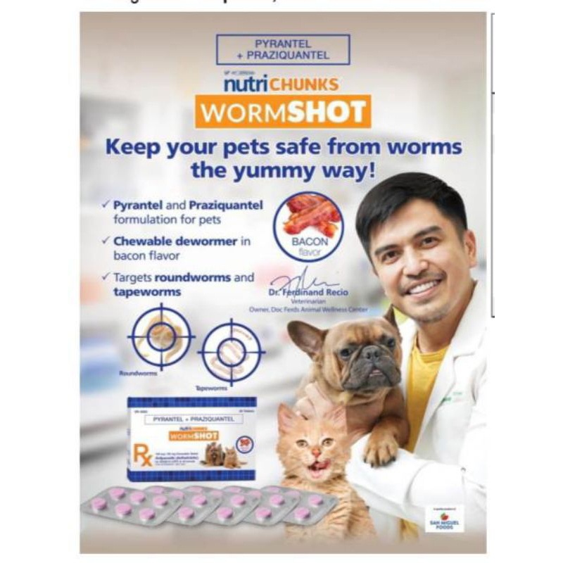 Wormshot Dewormer 1 Tablet with Nutrichunks Bacon Flavor for Dogs ...