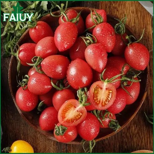 Cherry Red Tomato Rare Seed Vegetable Seeds 20pcs Shopee Philippines