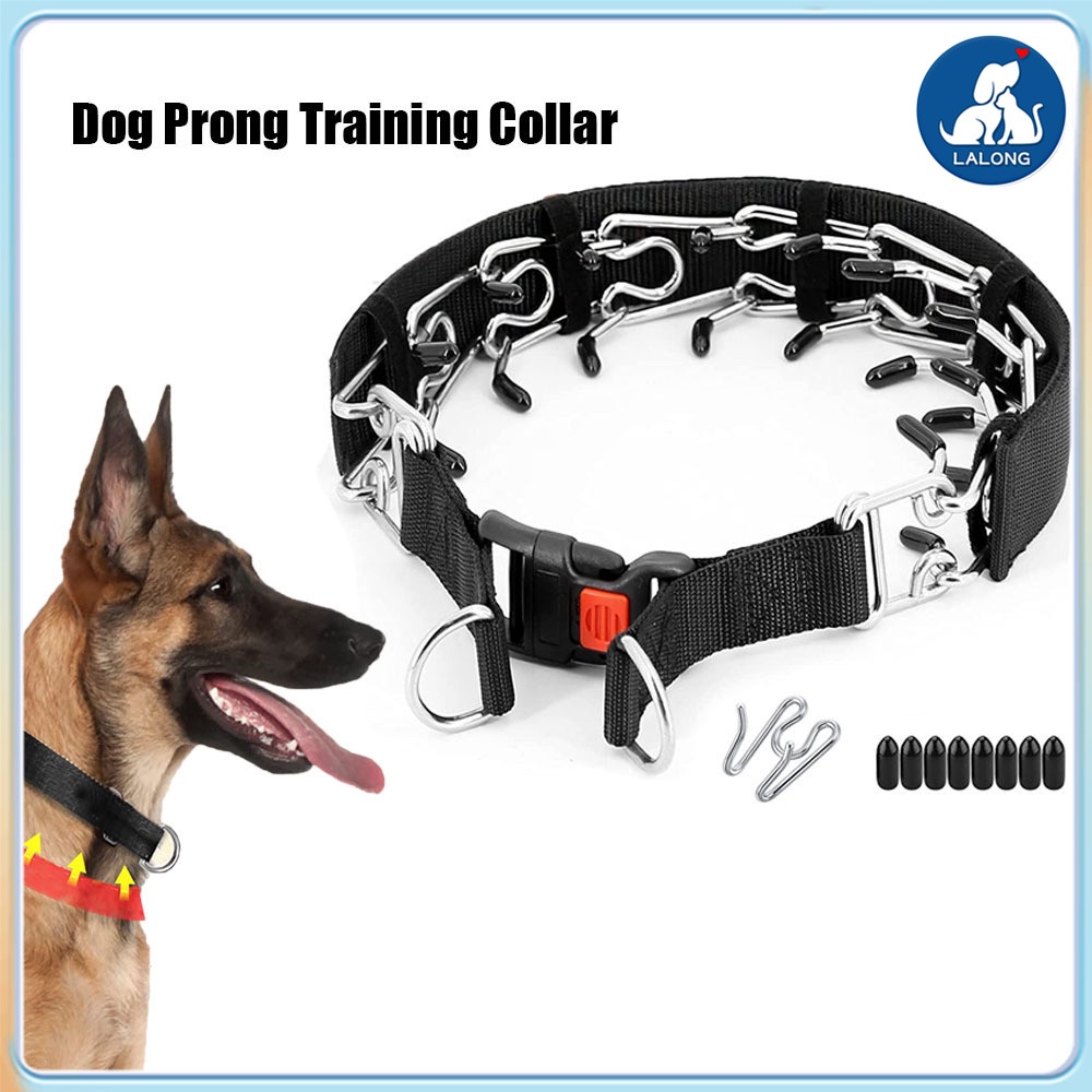 Dog choke collars for hot sale training