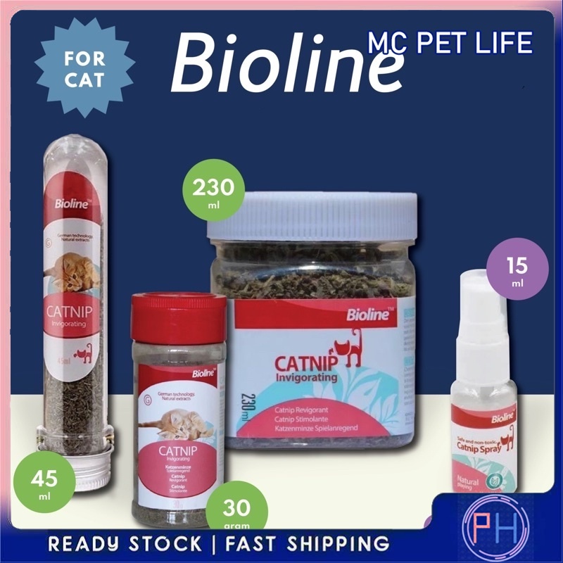 Illustration of Senior Cat Mood Enhancers With Catnip