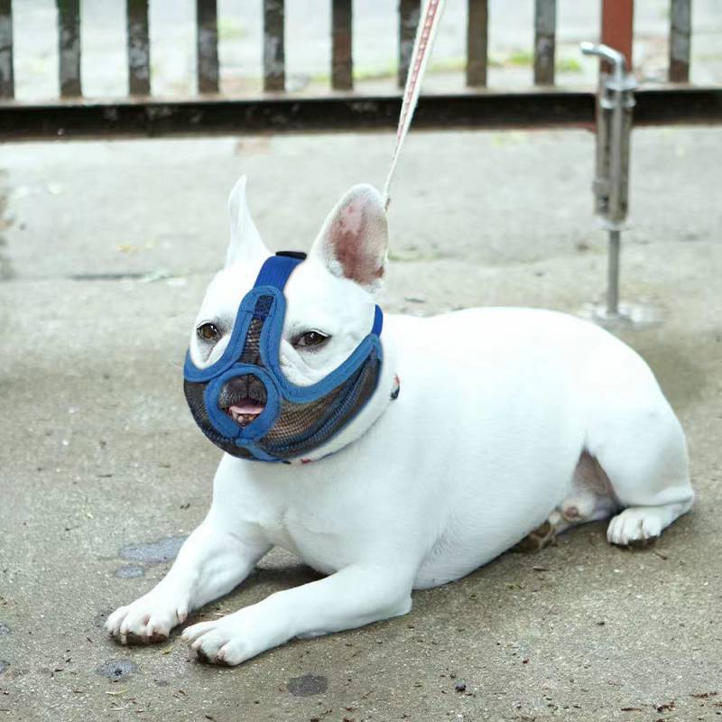 Pug French Bucket Mouth Cover Anti Bite Mask Full Mesh Breathable Comfortable Adjustable Short Mouth Dog Anti Bark Anti Eat Disorderly Headgear U3Lz Shopee Philippines