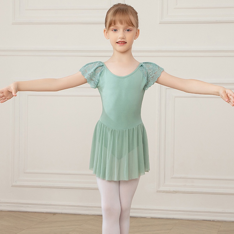 Lyrical Dance Costume Girls Zaclotre Girls' Ballet Dress (3-11Y