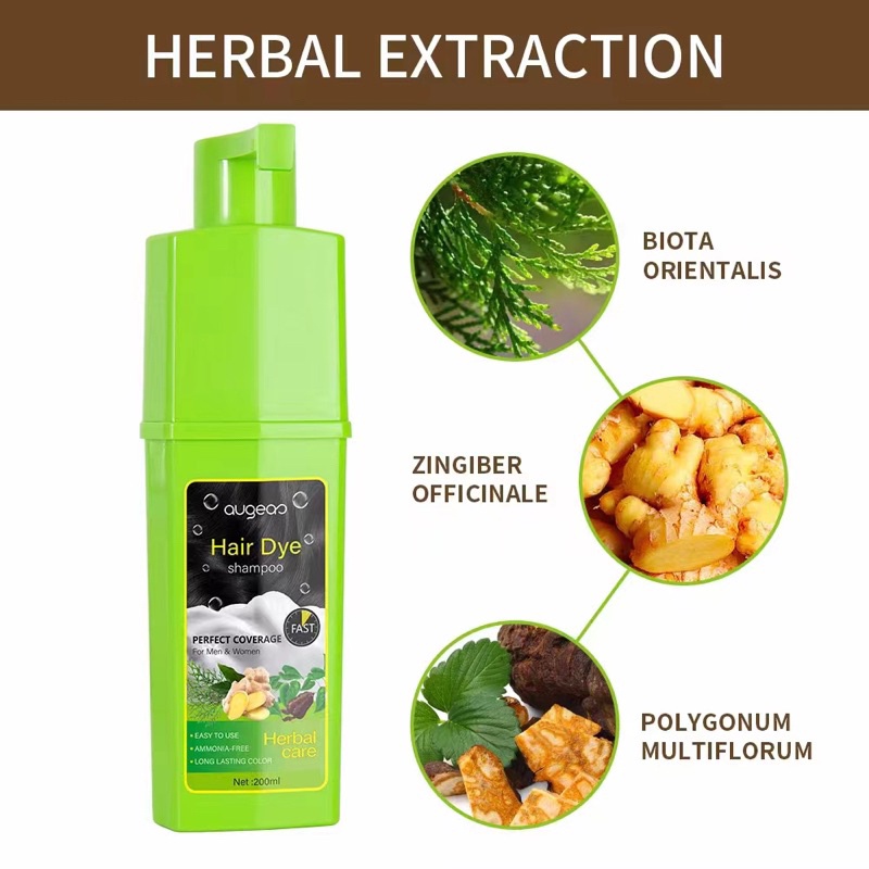 Ginger Herbal Meidu Natural colour Shampoo hair Dye color shampoo 美度