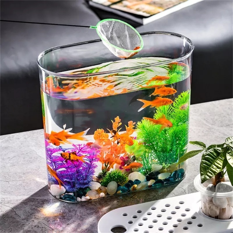 Betta Fish Tank Plastic Goldfish Tank Transparent Oval Shape - Temu