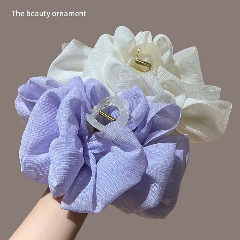 Double-sided Bow Mesh Grab Clip Hair Clip Feel Large Hair Shark Clip ...