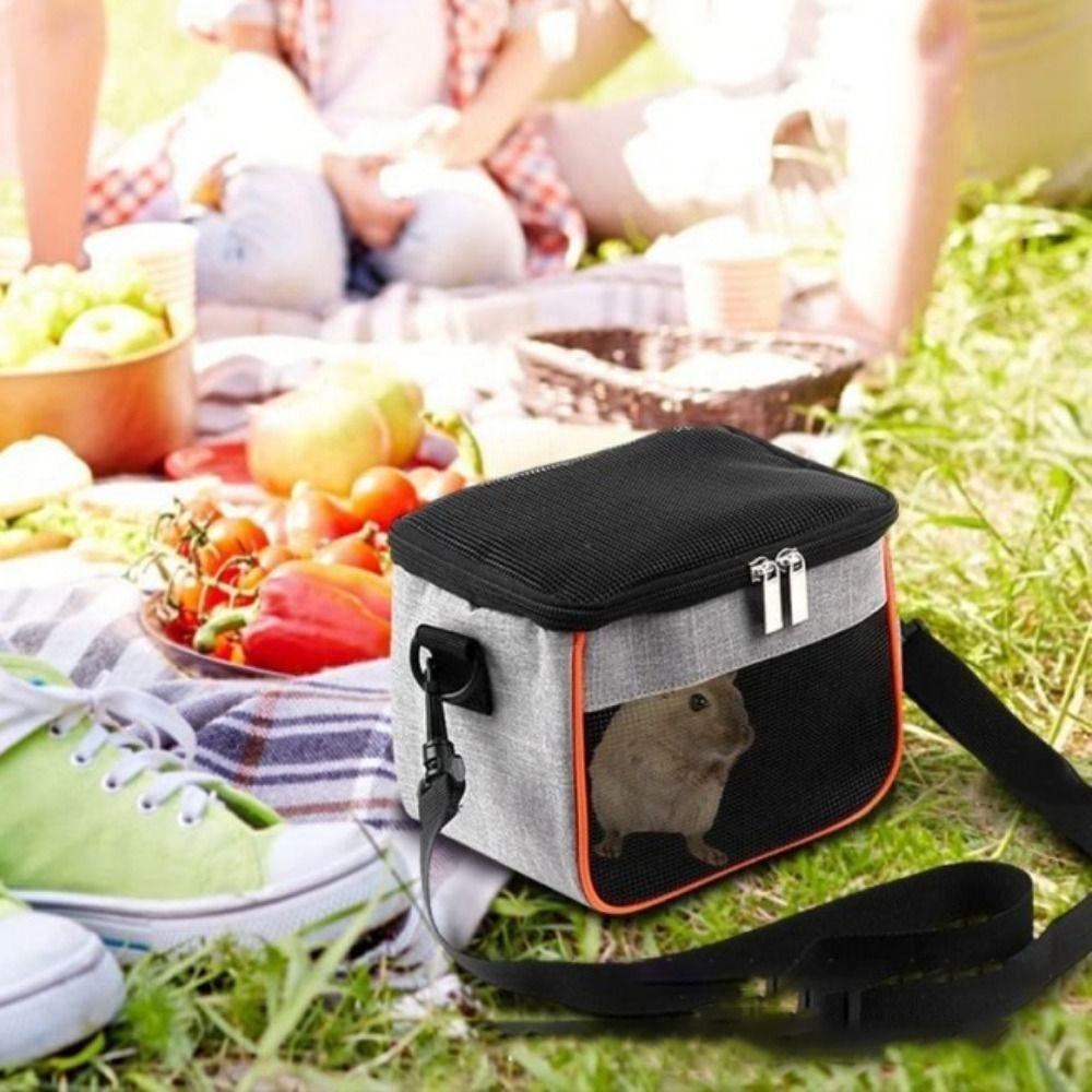 ECHOG Parrot Carrier Multifunction 1PC Pet Accessories for Lizard Rat ...
