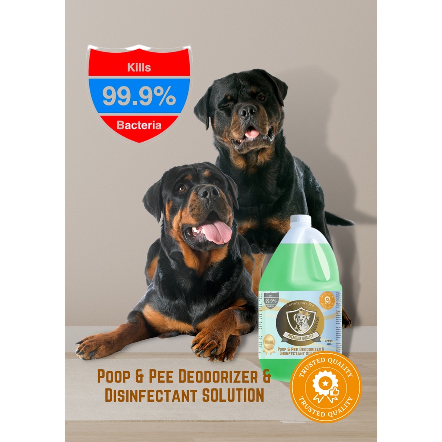Premium Poop & Pee Deodorizer & Disinfectant 1 Galon Dog and Cat urine
