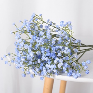 Shop baby's breath for Sale on Shopee Philippines