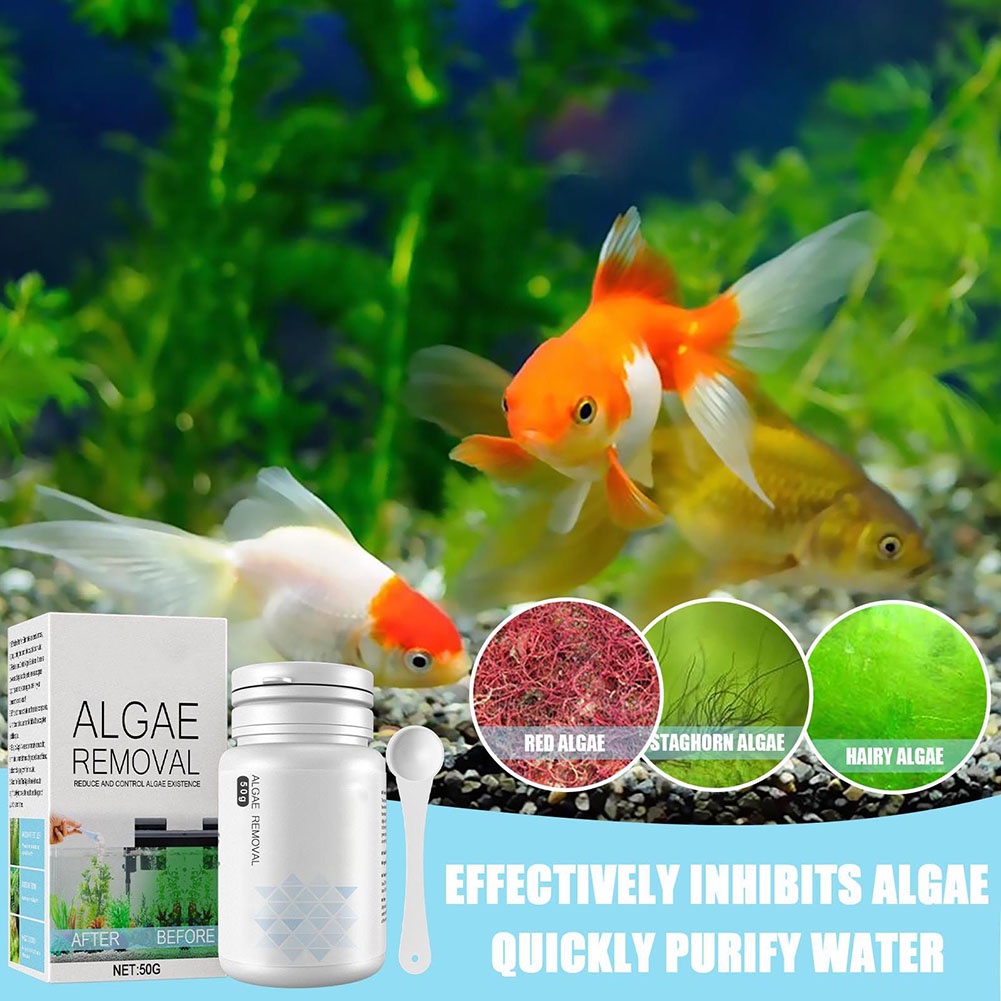 Safe Algae Removal Agents Professional Aquarium Algaecide With Spoon