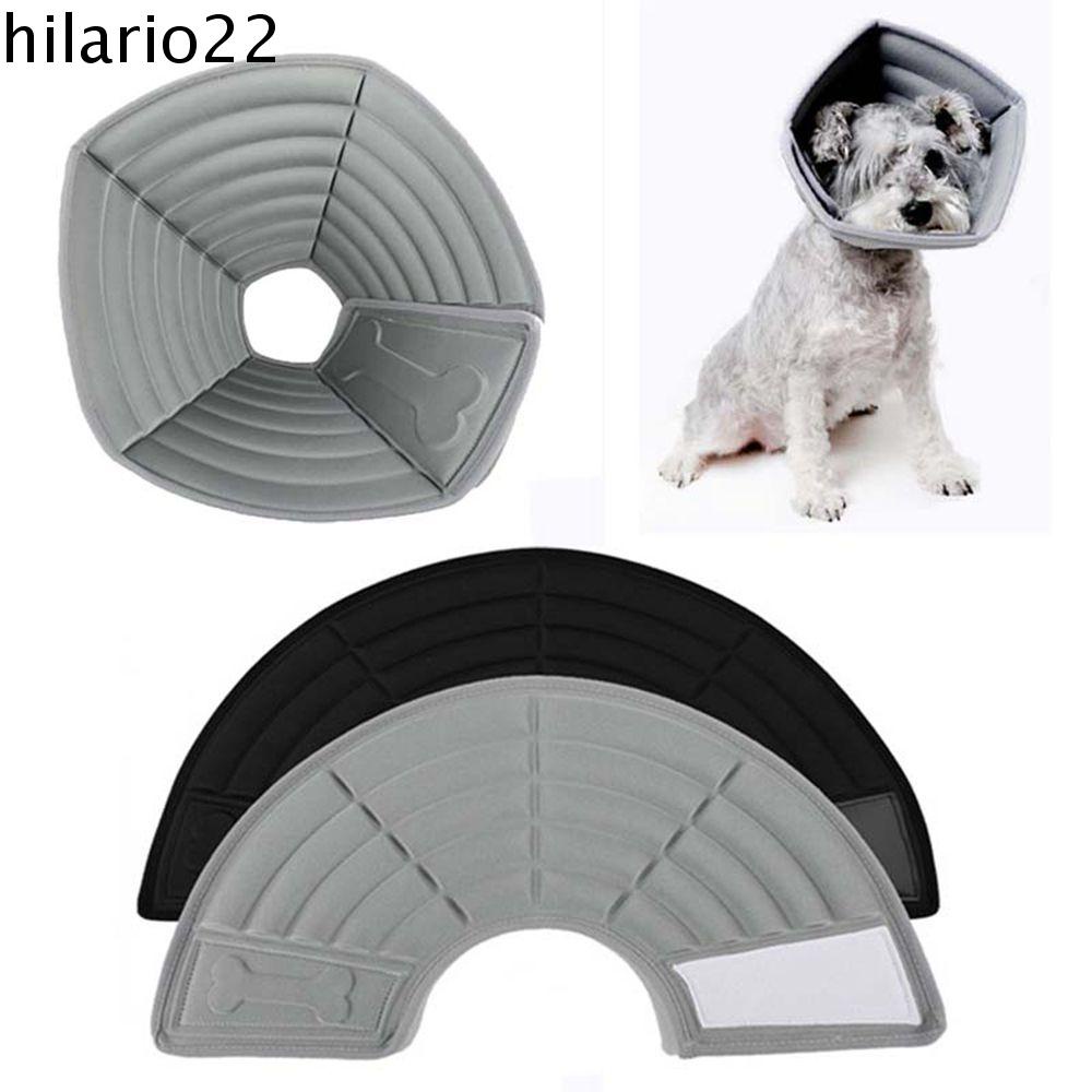 Dog cone hot sale name