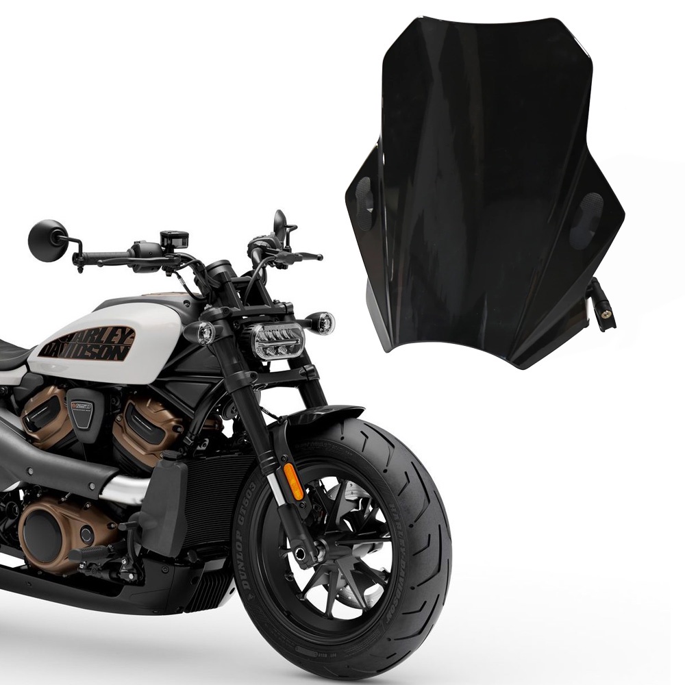 Sacoche Latérale étanche Pour Harley Sportster S RH1250 1250S 2021-2022 - Rigide, Triangulaire - Rangement Moto
