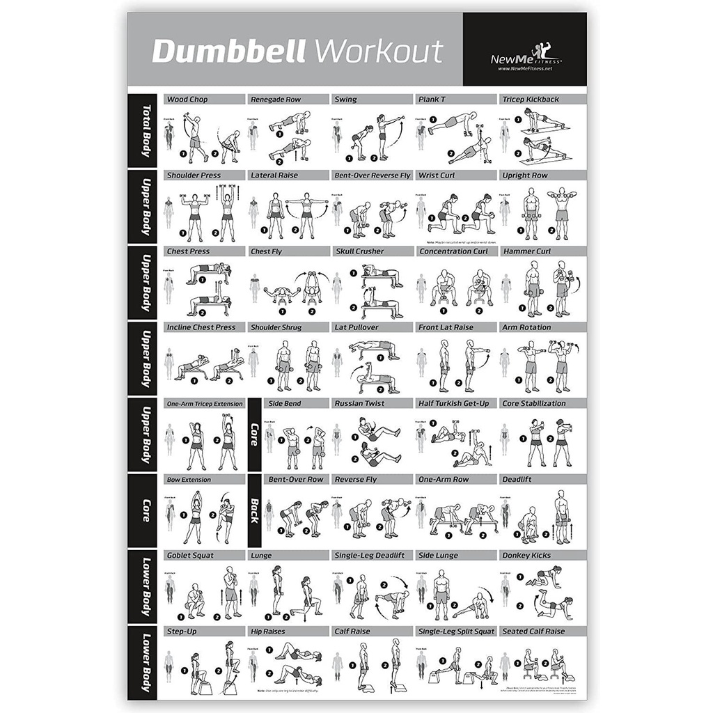 Dumbbell Workout Poster 1 For Home Gym Exercise Posters For Full Body ...