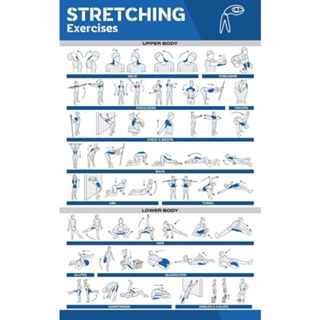 Stretching Sports Poster Family Gym Whole Body Exercise Core Abs Legs ...