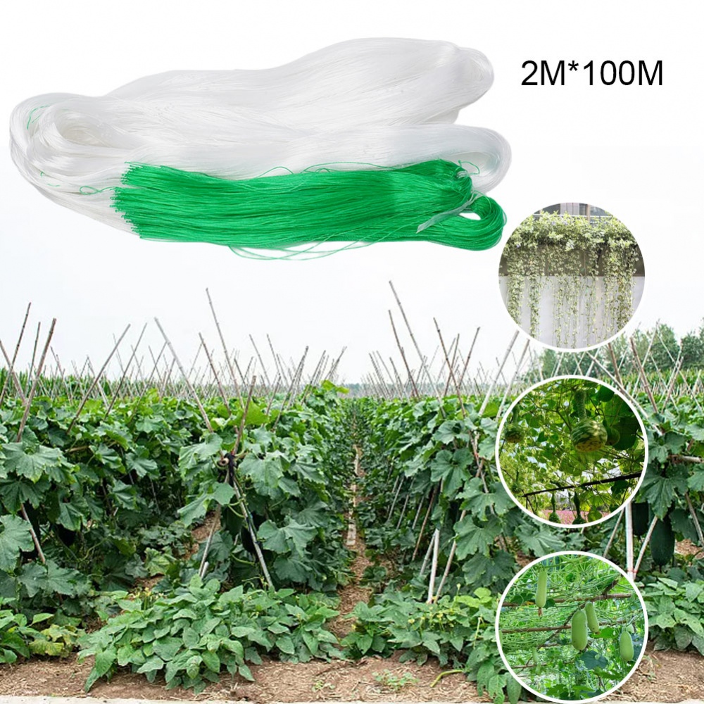 Plant Climbing Netting for Cucumbers Runner Beans Squash and More (2M x ...