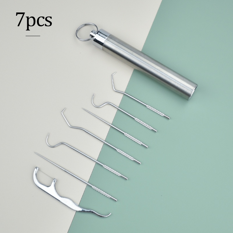 Stainless Steel Toothpick Set Reusable Toothpicks Tooth Flossing With ...