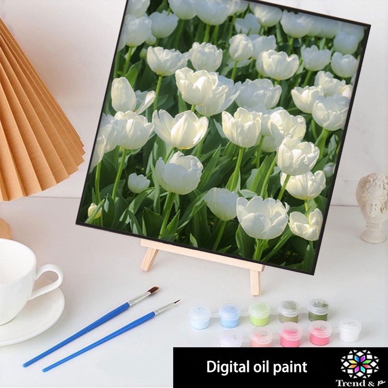 [Trand&P] Digital Oil Paint By Numbers 30X40cm Canvas Frame Number ...