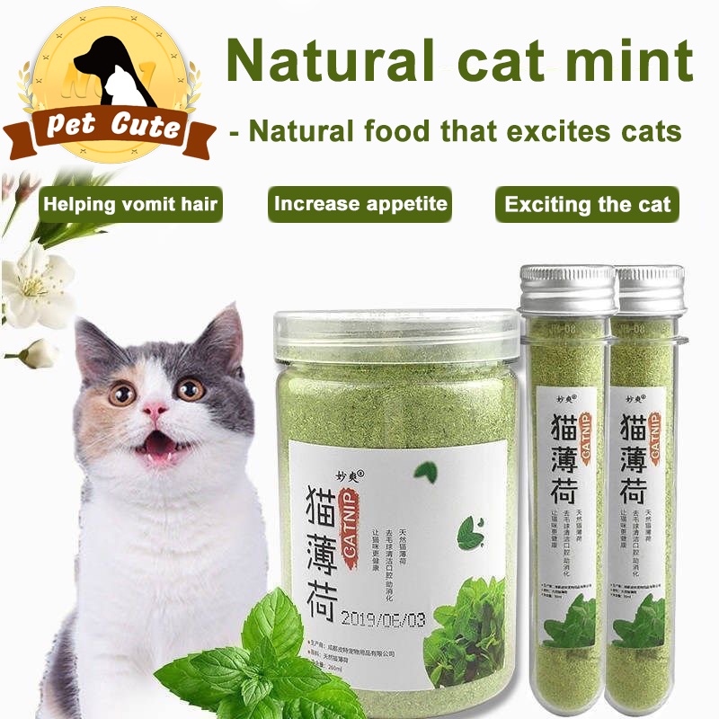 50ml Catnip Treat for Cats Cat Treat Catnip catnip powder and catnip