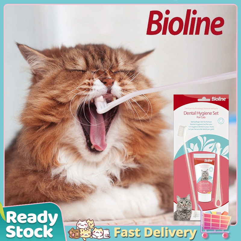 Bioline Toothpaste & Toothbrush with Cheese Flavor 50g for Cats Dental