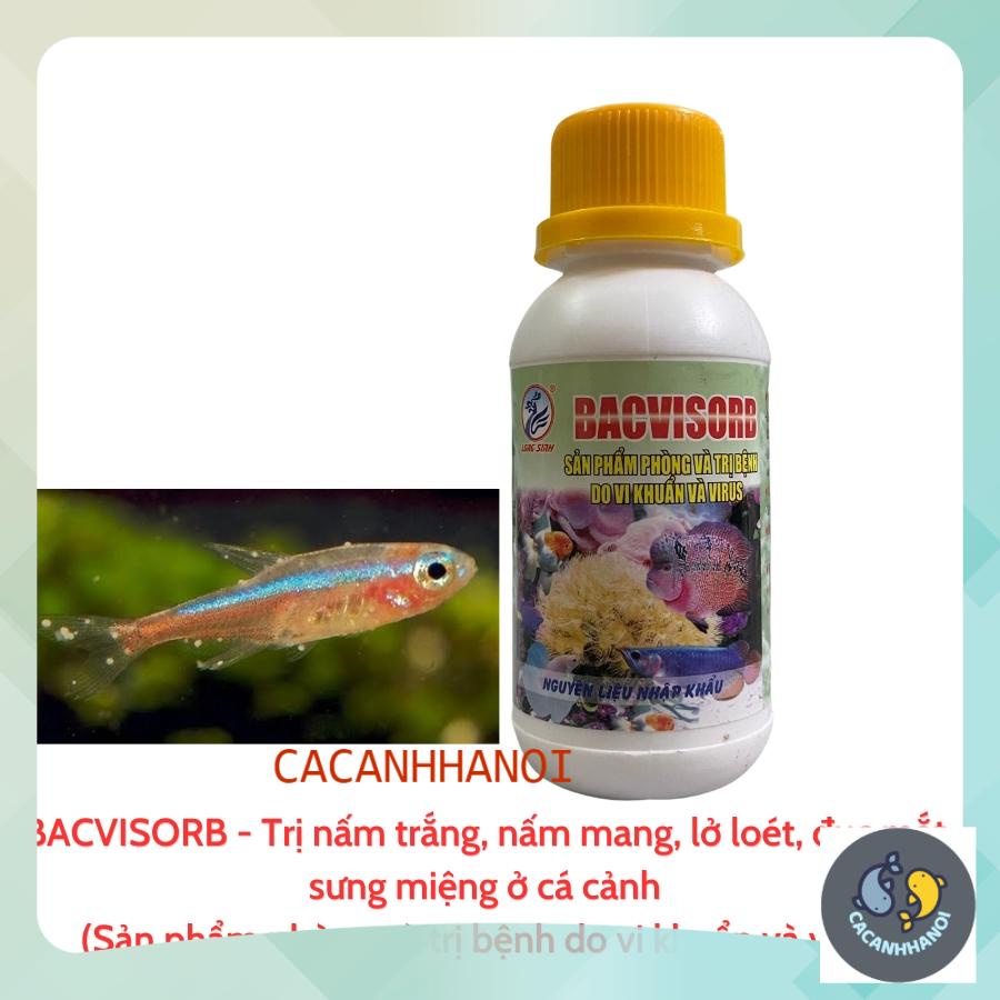 Bacvisorb Aquarium Fish Fungal Medicine White Fungus, Gill Fungus