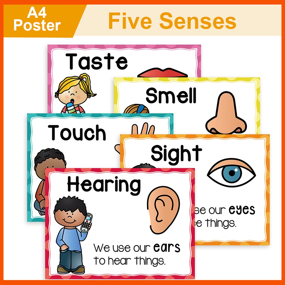 5 Pcs Five Senses A4 Posters Classroom Decoration Homeschool Supplies ...