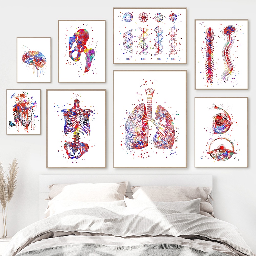 Anatomy Art Human Heart Brain Lungs Wall Art Canvas Painting Nordic ...