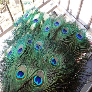 How to Make a Wall Hanging Wind Chime with Peacock Feathers. peacock  feather craft ideas 