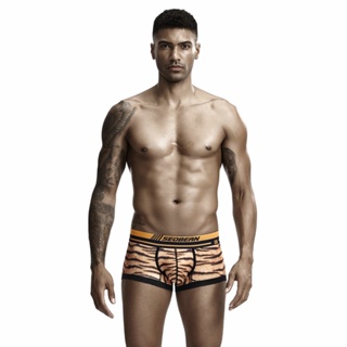 Modern Bulging Boxers