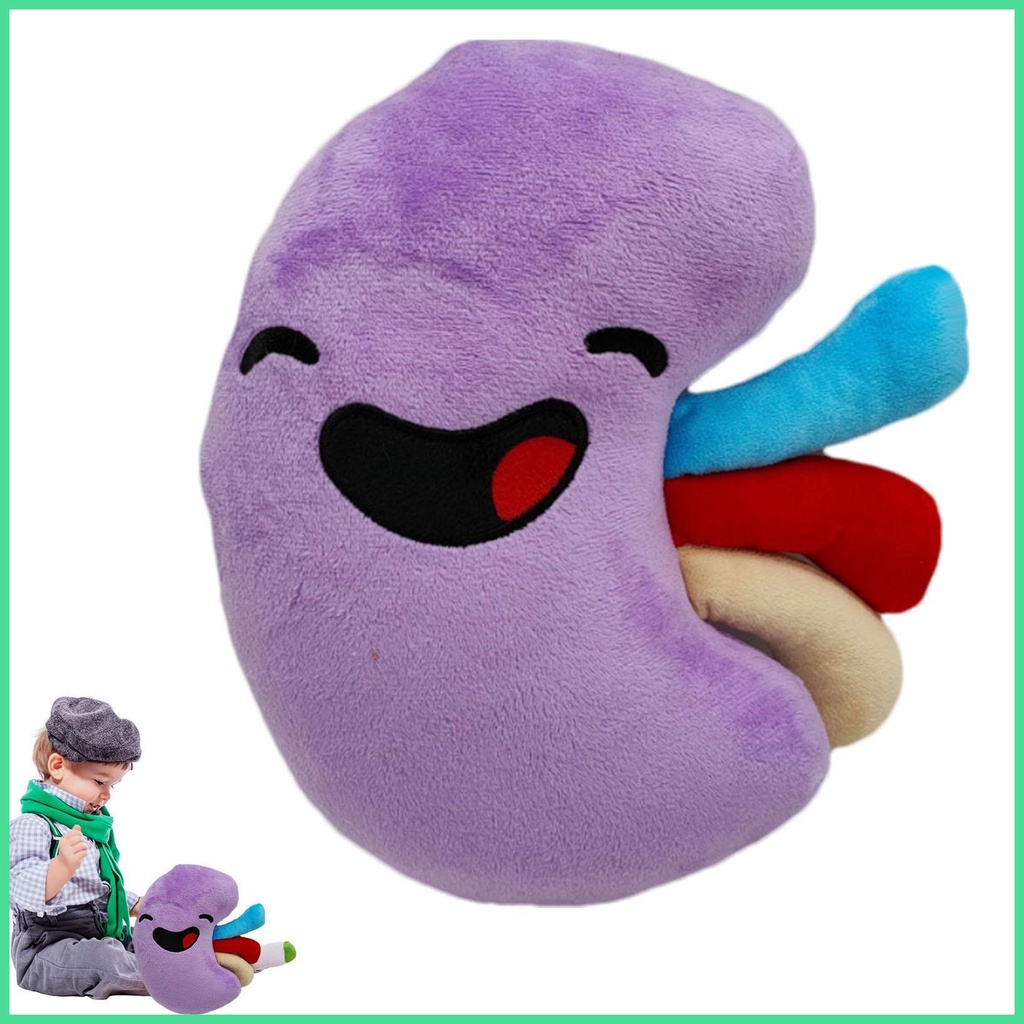 2023 New Body Happy Organ Plush Toys Cute Soft Kidney Stuffed Cartoon