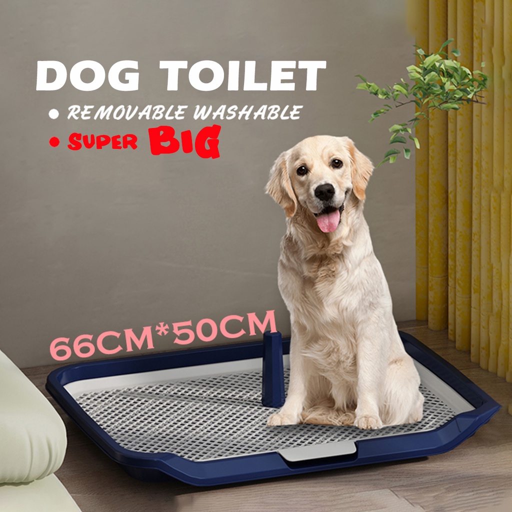 Dog clearance toilet tray