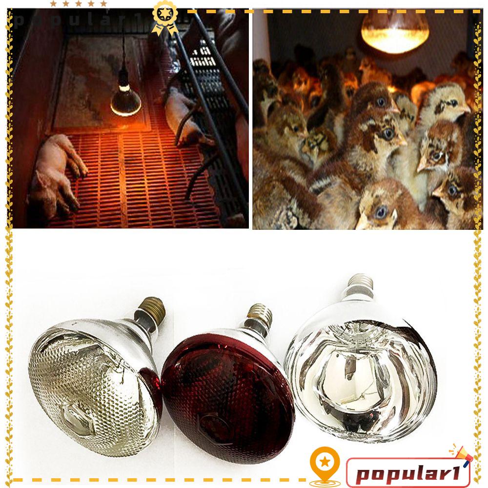 POPULAR Red White Color Farming Lampshade Kittens Piglets Animals