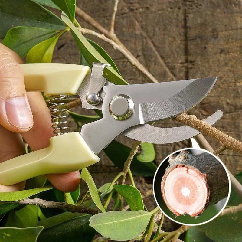 Garden Plant Tree Pruning Tools，Pruning Bonsai flowers plantsGarden ...