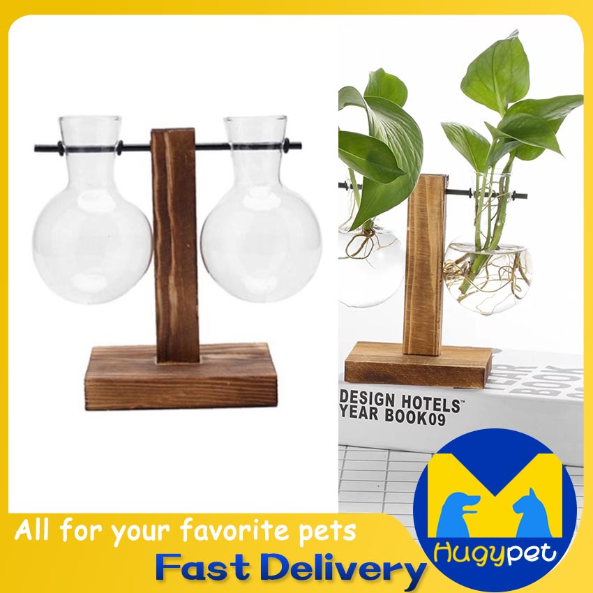 Glass Planter Bulb Vase Desktop Plant Terrarium With Wood Stand Flower