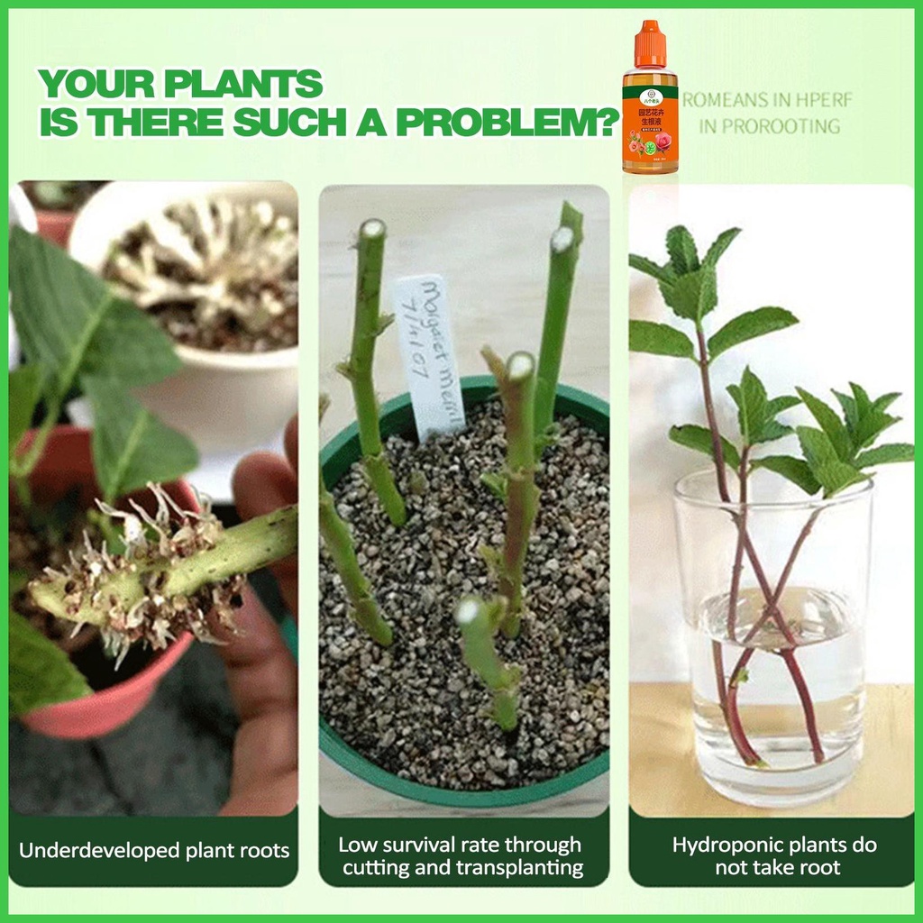 Liquid Rooting Hormones HighPerforming Organic 50ml Tree Root