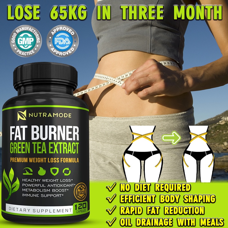 Green Tea for Healthy Weight Loss and Fat Burning Suppress Appetite