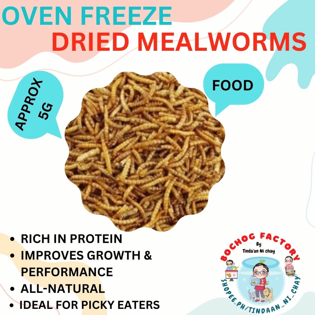 Mealworms x Superworms Oven Dried 5g Oscar predator fish food hamster