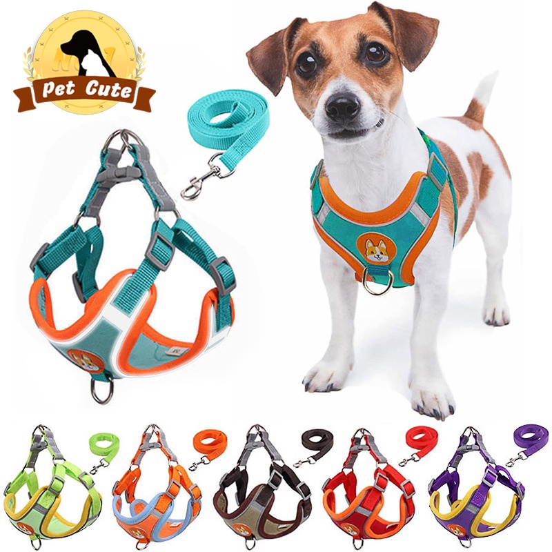 Dog Harness Dog Leash Dog harness with leash Adjustable Outdoor Pet