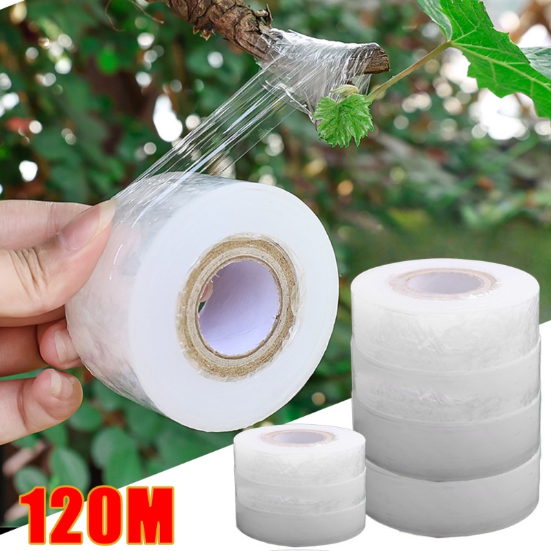Budding Tree Seedlings Plants Care Film/ Self Adhesive Grafting