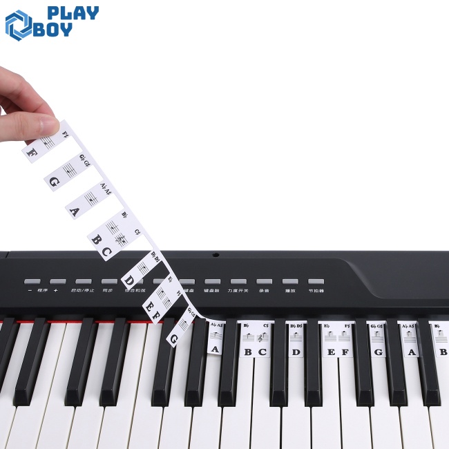 Playboy Piano Keyboard Note Labels 88 Keys / 61 Keys Removable Piano ...